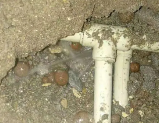 梁子湖卫生间测漏