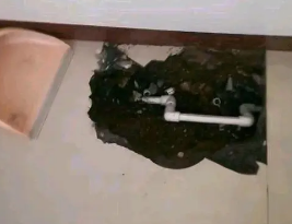 梁子湖卫生间测漏水多少钱