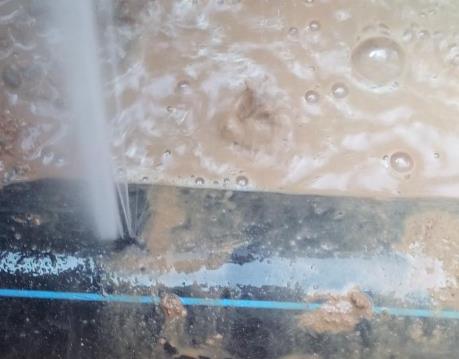 梁子湖卫生间防水哪家好